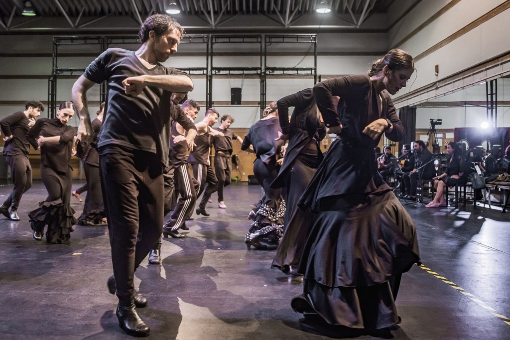 Live broadcast of two flamenco and one contemporary dance workshops by The Ballet Nacional de España