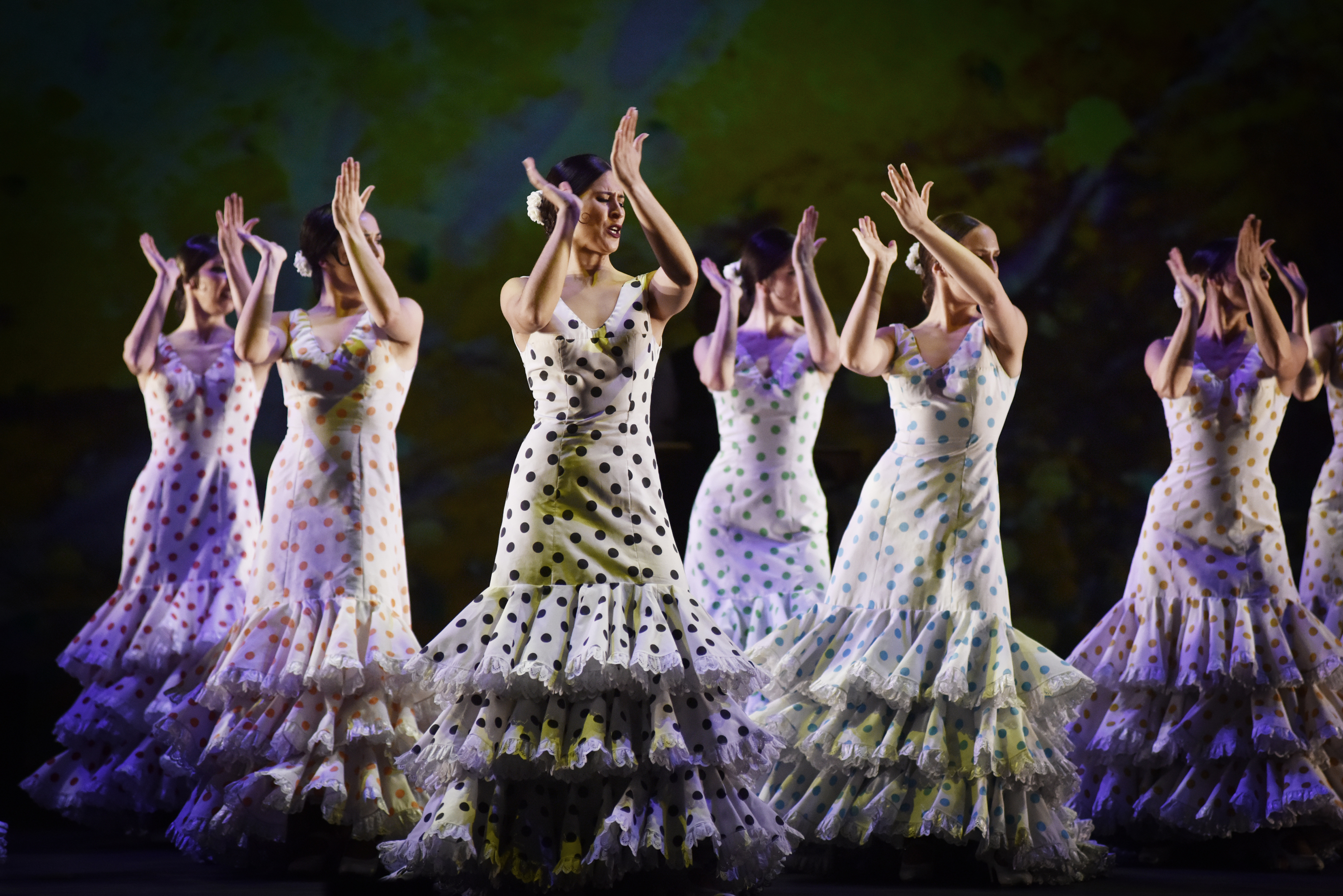 Foto Estampas Flamencas. Centenario Antonio Ruiz Soler (copy Pablo Guidali)