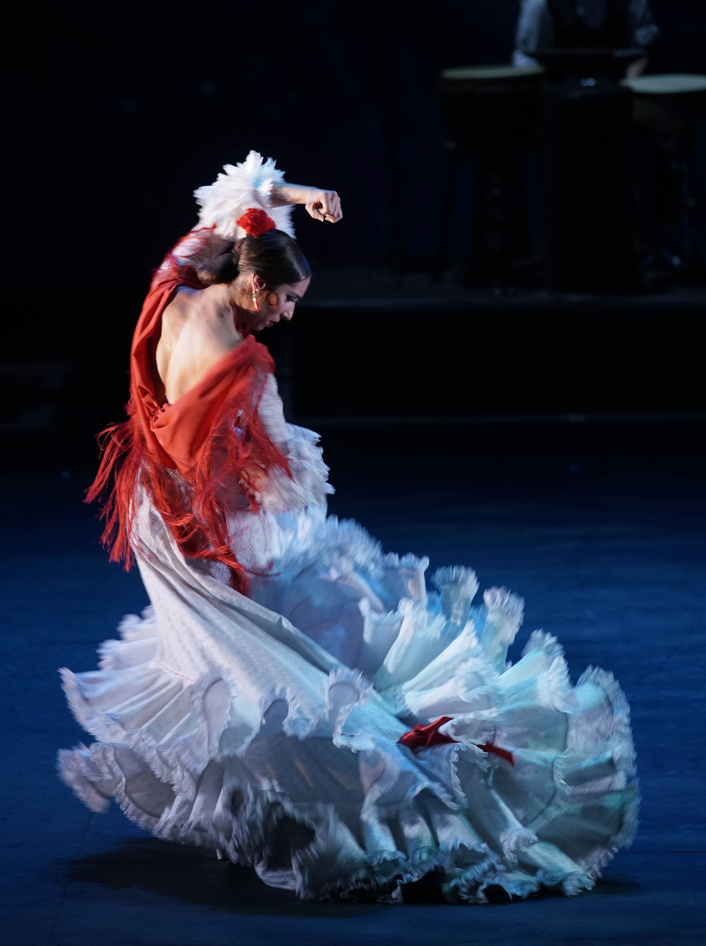 Foto Estampas Flamencas. Centenario Antonio Ruiz Soler (copy Javier del Real)